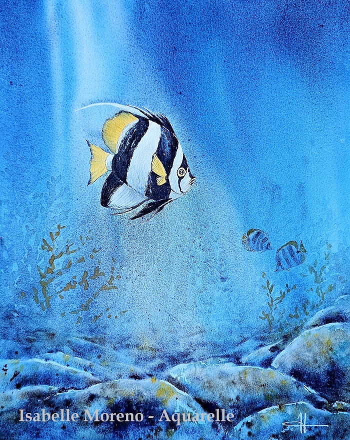 Récif