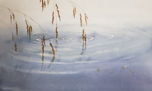 20171110_105835