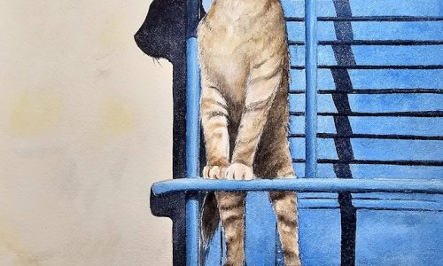 Curieux