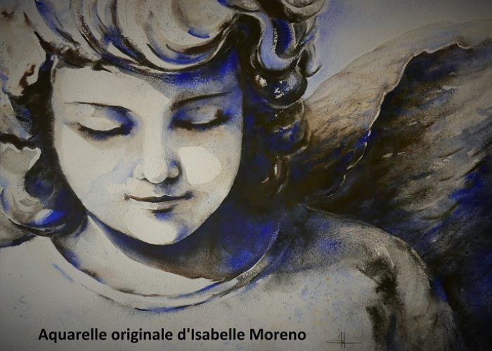 Terre l'ange500