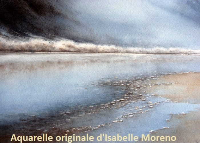 plage normande revue500