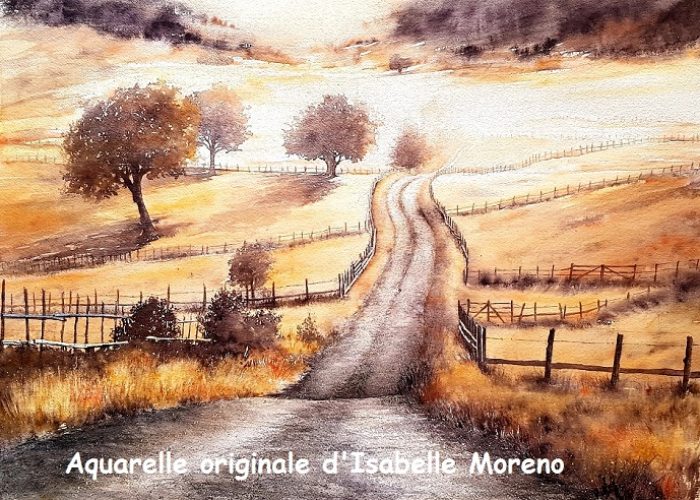 reflets d'or sur la campagne 500 titré